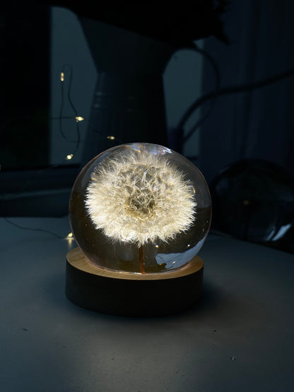 Esfera Dandelion Dente de Leão Eternizado - Escolha o tamanho 🤍