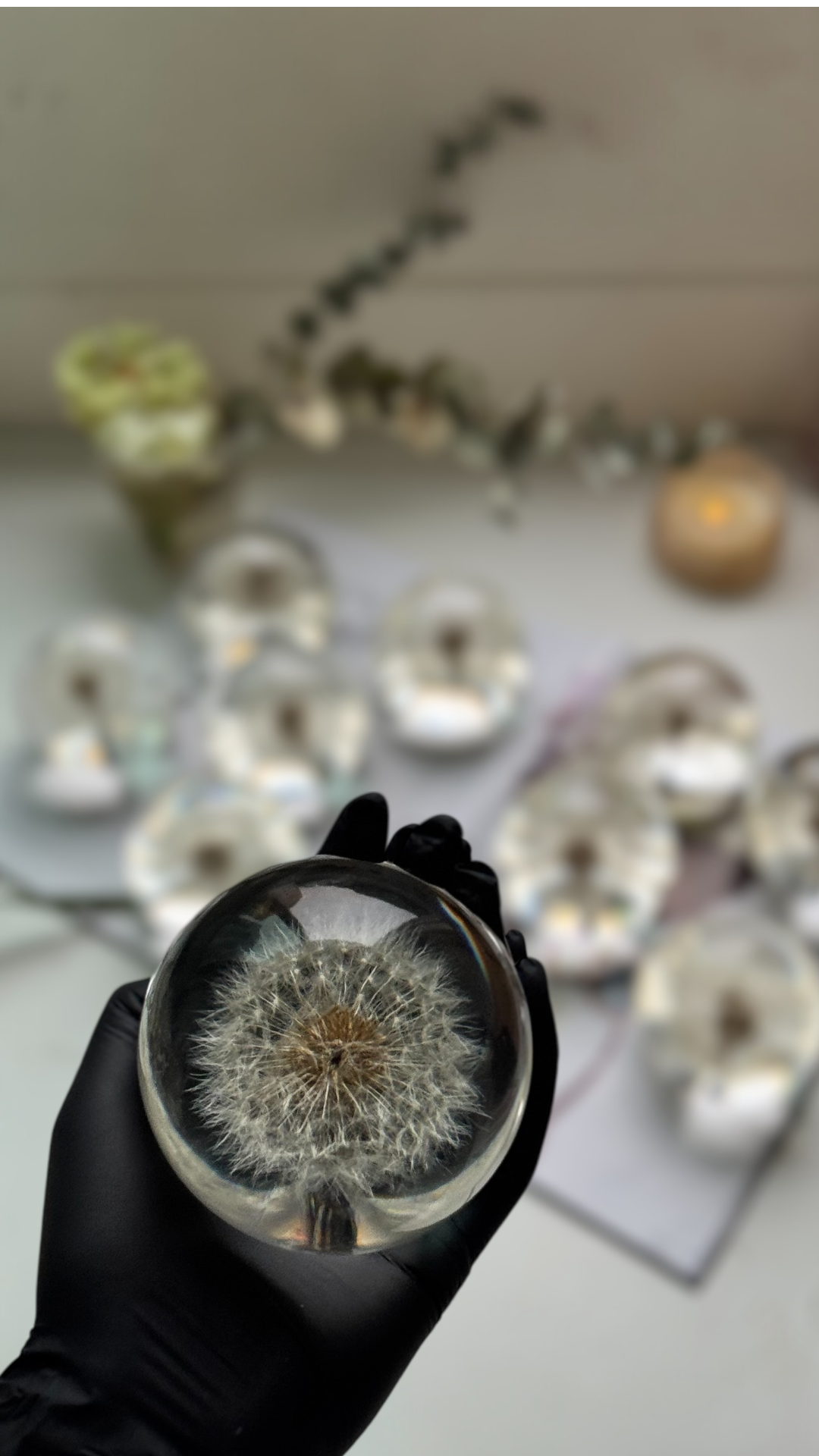 Esfera Dandelion Dente de Leão Eternizado - Escolha o tamanho 🤍