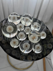 Esfera Iluminada Dandelion Dente de Leão Eternizado - Escolha o tamanho 🤍