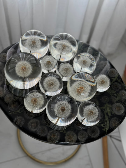 Esfera Dandelion Dente de Leão Eternizado - Escolha o tamanho 🤍
