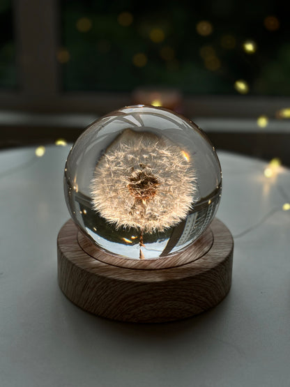 Esfera Dandelion Dente de Leão Eternizado - Escolha o tamanho 🤍