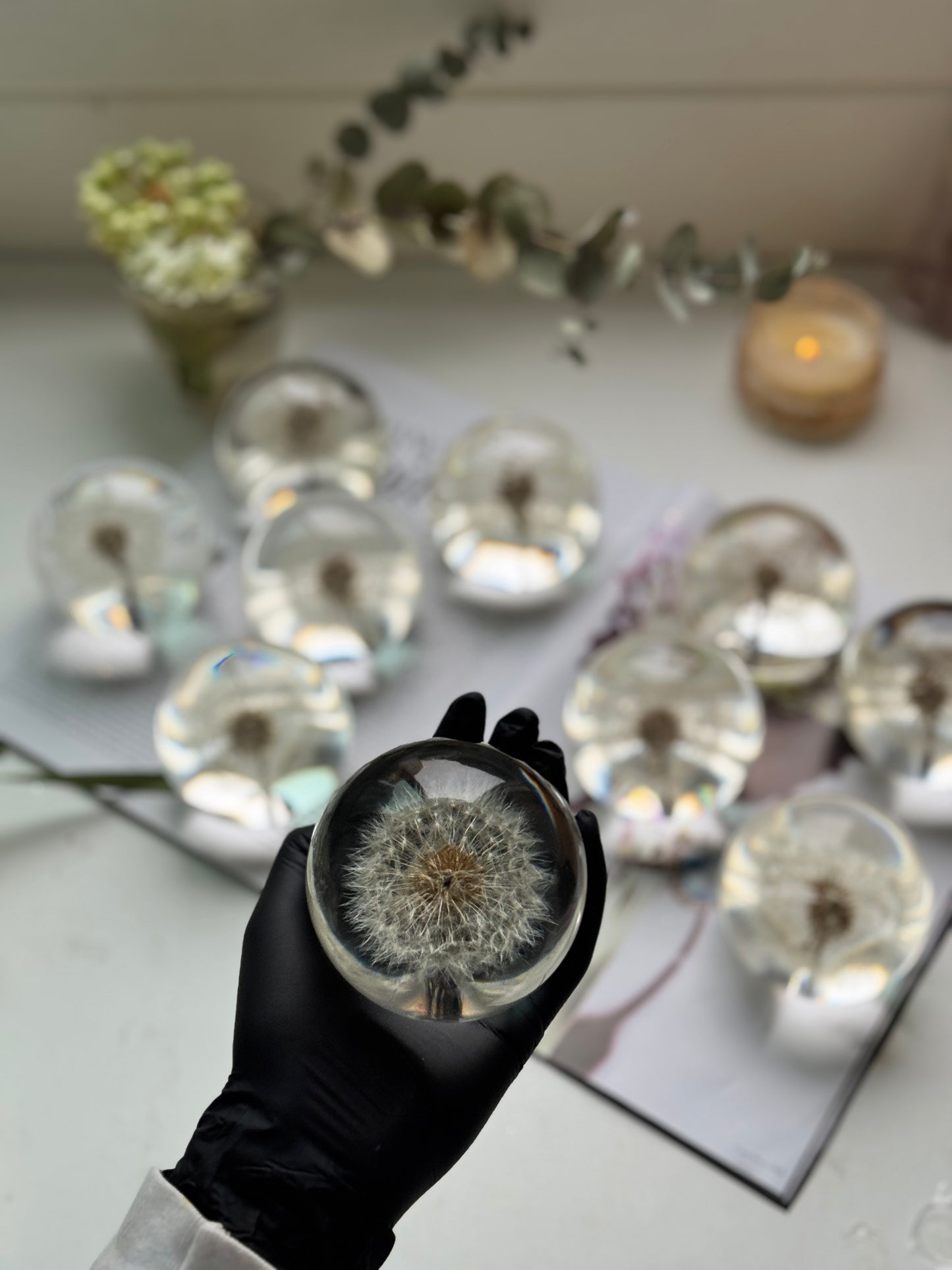 Esfera Dandelion Dente de Leão Eternizado - Escolha o tamanho 🤍