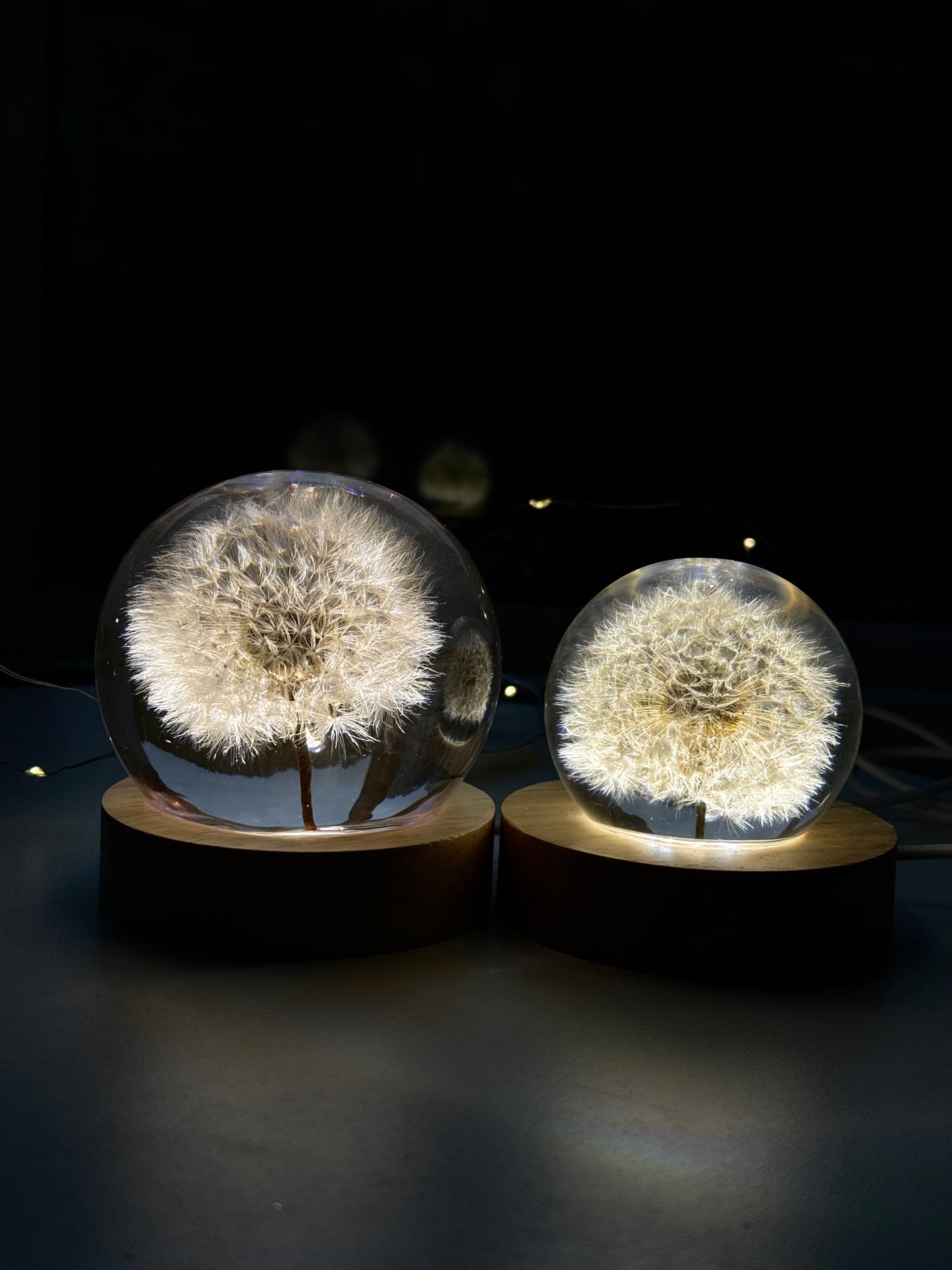 Esfera Dandelion Dente de Leão Eternizado - Escolha o tamanho 🤍