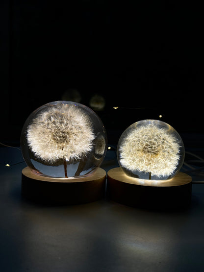 Esfera Dandelion Dente de Leão Eternizado - Escolha o tamanho 🤍