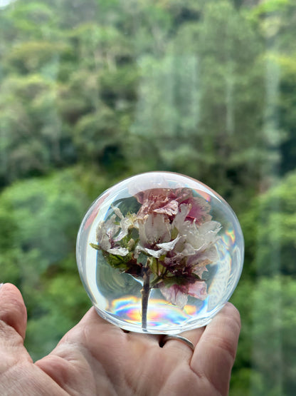 Esfera Iluminada com Flor de Cerejeira Real