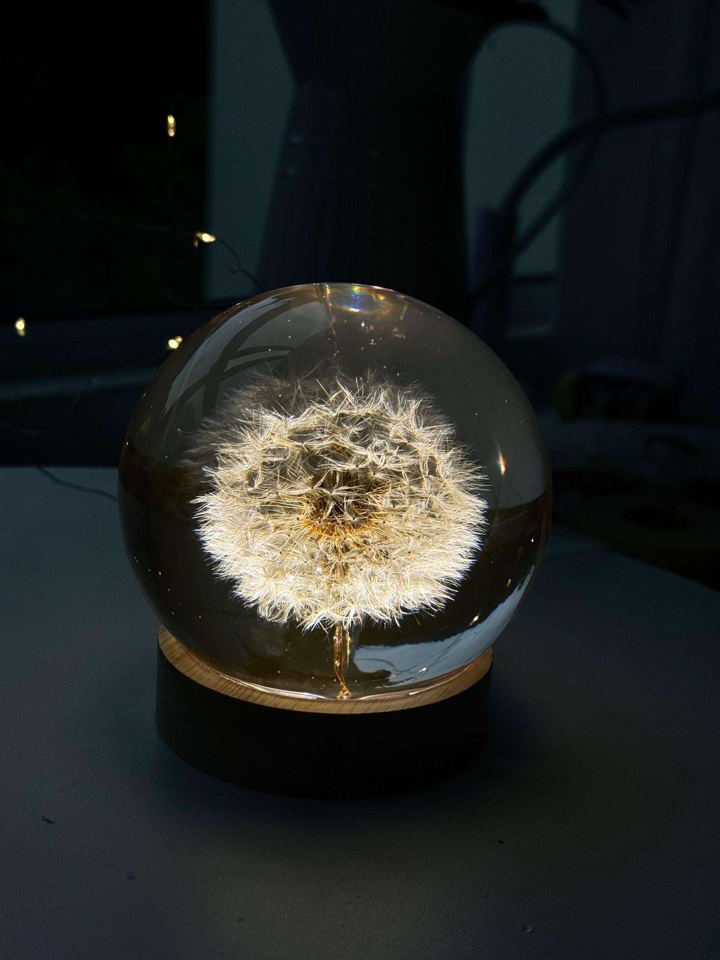 Esfera Dandelion Dente de Leão Eternizado - Escolha o tamanho 🤍