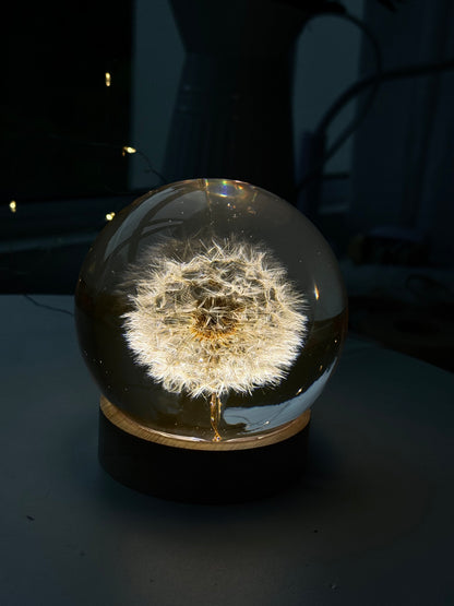 Esfera Dandelion Dente de Leão Eternizado - Escolha o tamanho 🤍