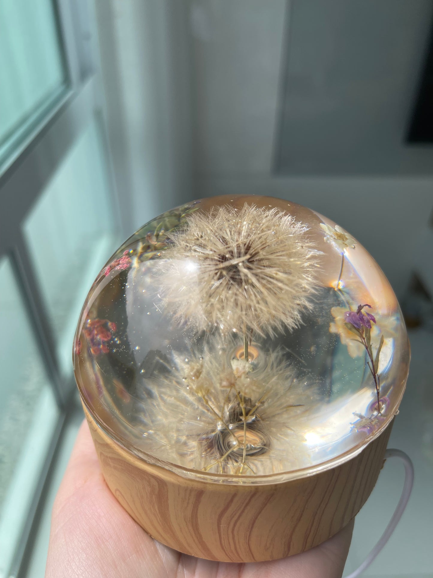 Eternização em Meia Esfera