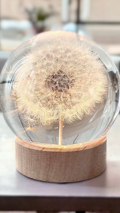 Esfera Dandelion Dente de Leão Eternizado - Escolha o tamanho 🤍
