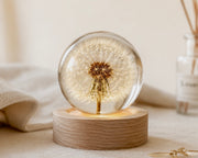 Esfera Iluminada Dandelion Dente de Leão Eternizado - Escolha o tamanho 🤍
