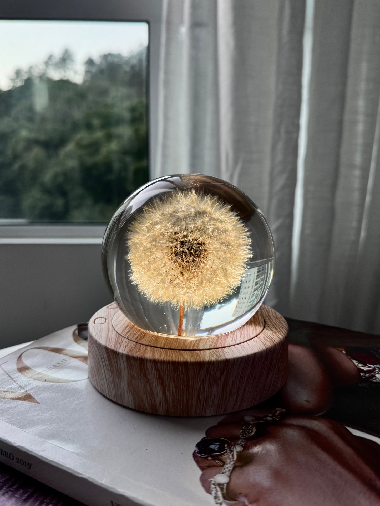 Esfera Dandelion Dente de Leão Eternizado - Escolha o tamanho 🤍