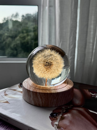 Esfera Dandelion Dente de Leão Eternizado - Escolha o tamanho 🤍