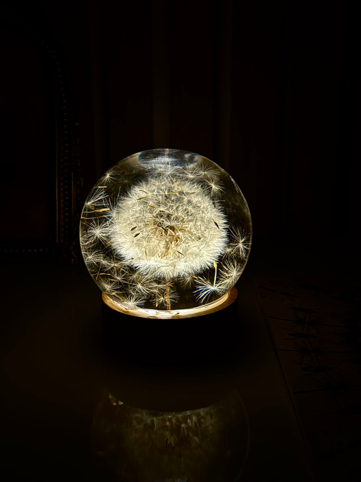 Esfera Iluminada Dente de Leão AO VENTO - NEW collection