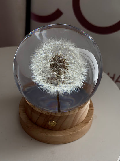 Esfera Dandelion Dente de Leão Eternizado - Escolha o tamanho 🤍