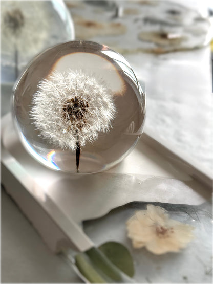 Esfera Dandelion Dente de Leão Eternizado - Escolha o tamanho 🤍