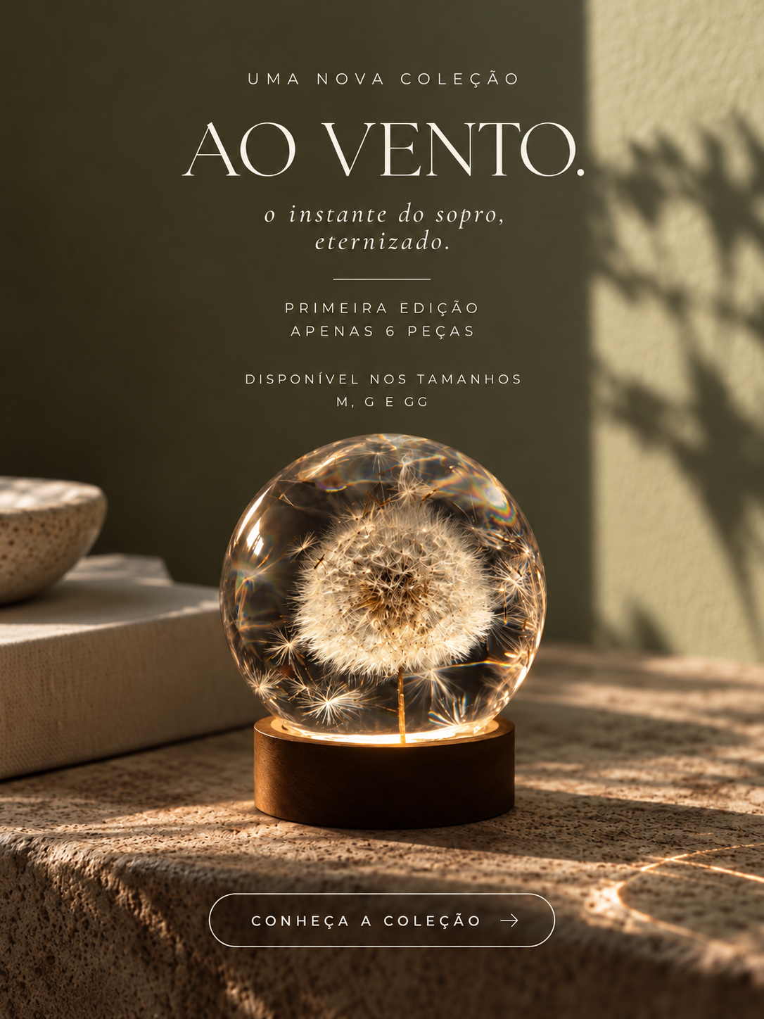 Esfera Iluminada Dente de Leão AO VENTO - NEW collection