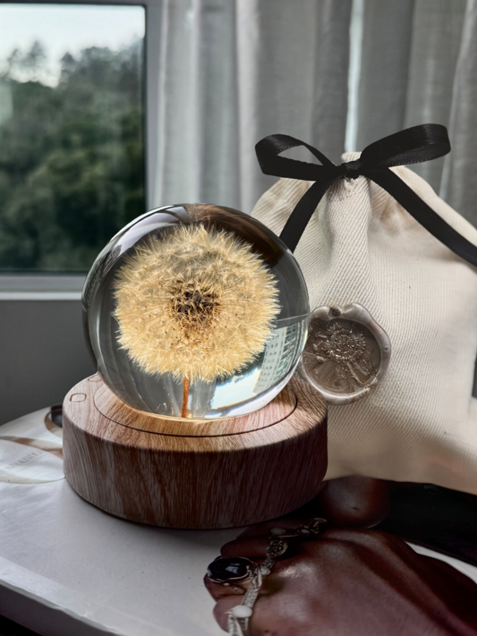 Esfera Dandelion Dente de Leão Eternizado - Escolha o tamanho 🤍
