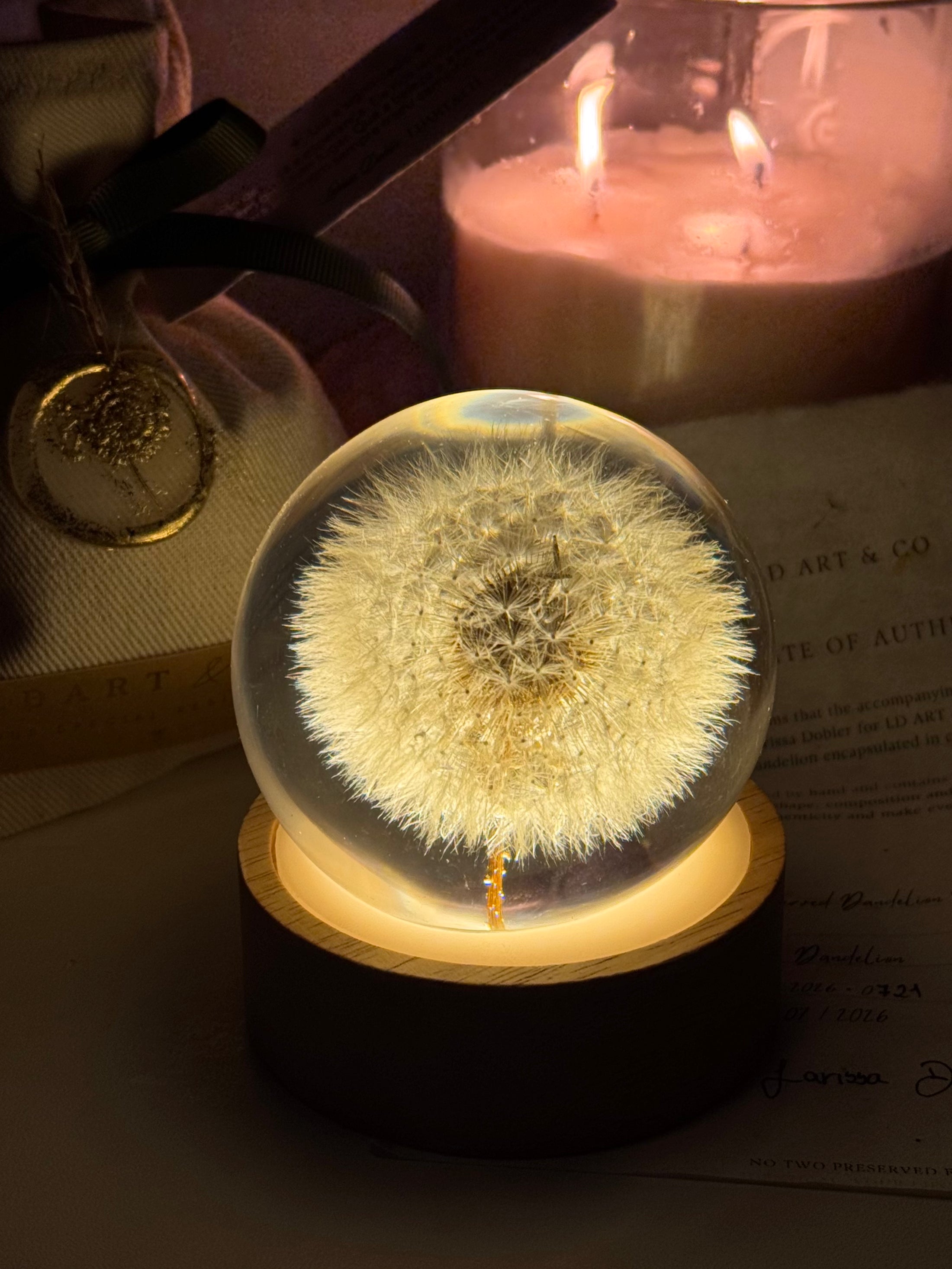 Esfera Iluminada Dandelion Dente de Leão Eternizado - Escolha o tamanho 🤍