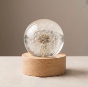 Dandelion Sphere Lamp