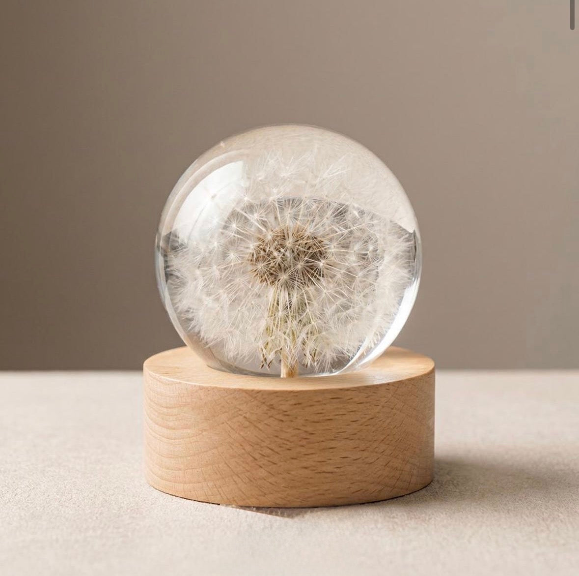 Dandelion Sphere Lamp