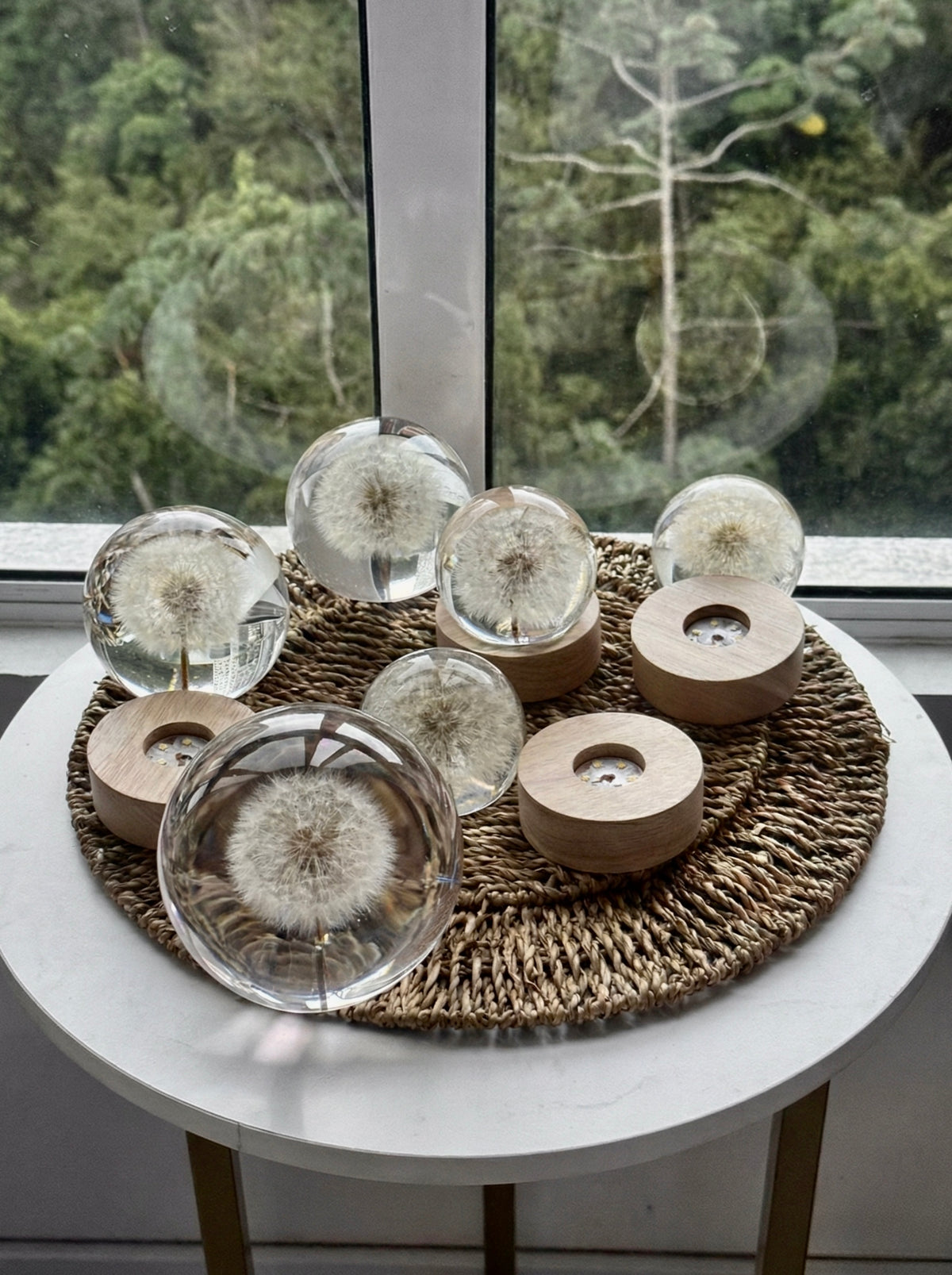 Esfera Iluminada Dandelion Dente de Leão Eternizado - Escolha o tamanho 🤍