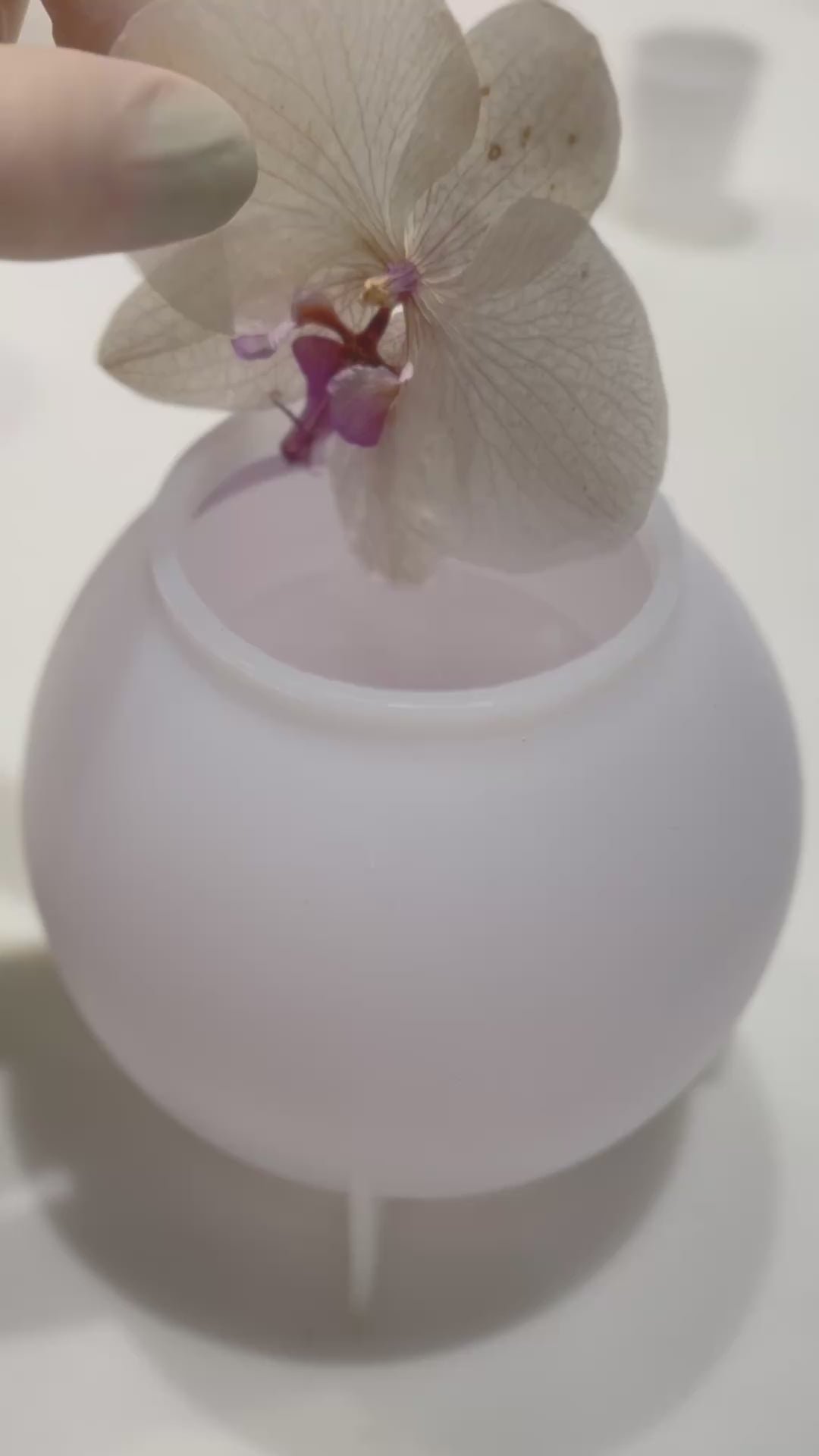 Esfera Flower Bomb 10cm com Flores Naturais com bolhas