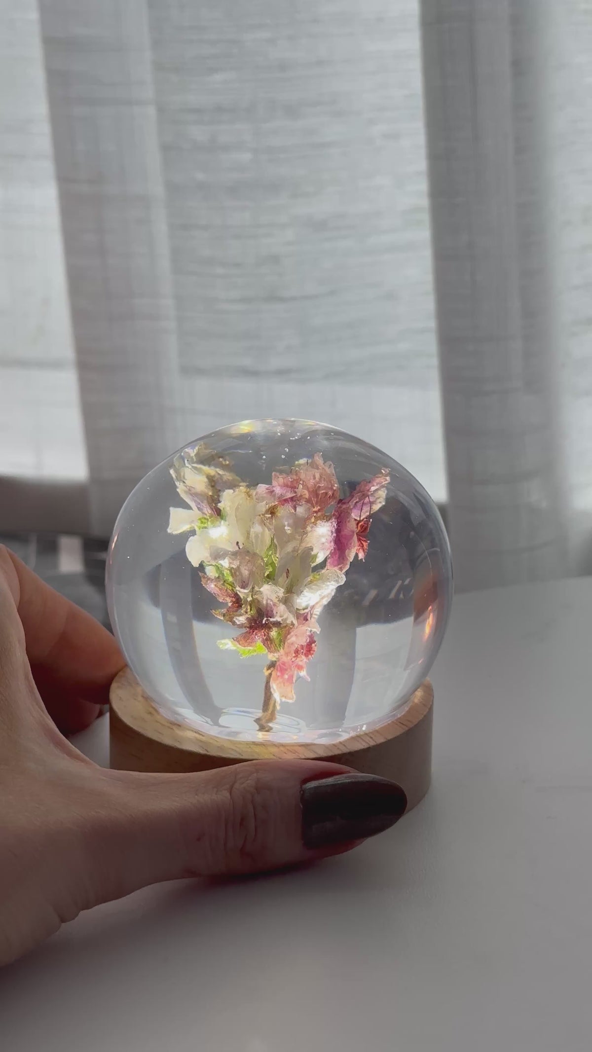 Esfera Iluminada com Flor de Cerejeira Real