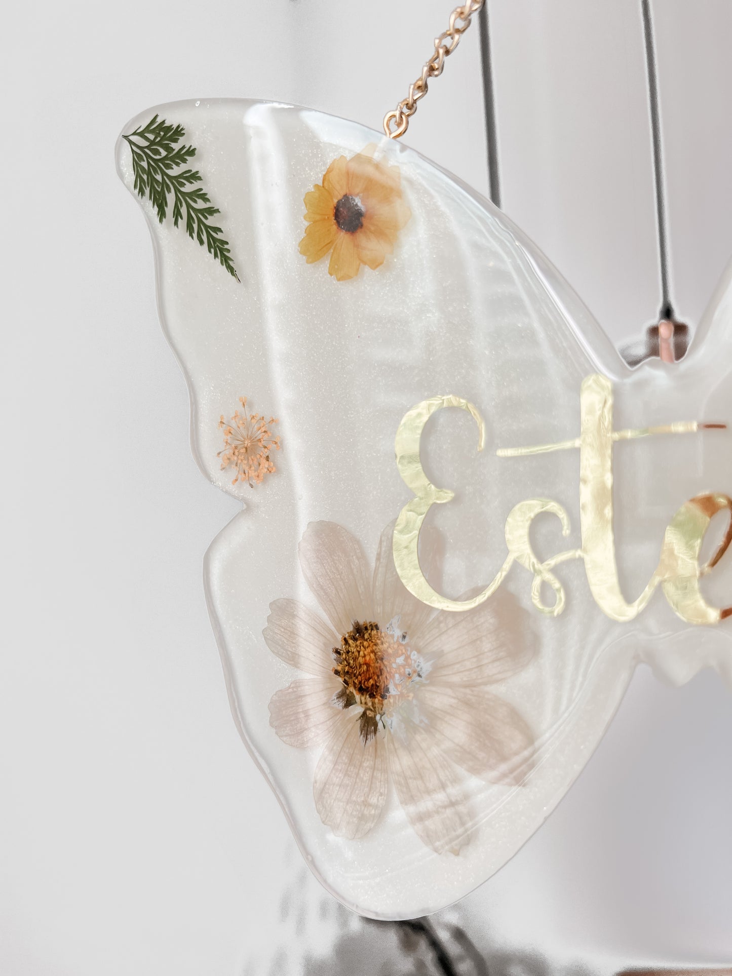 Placa Butterfly