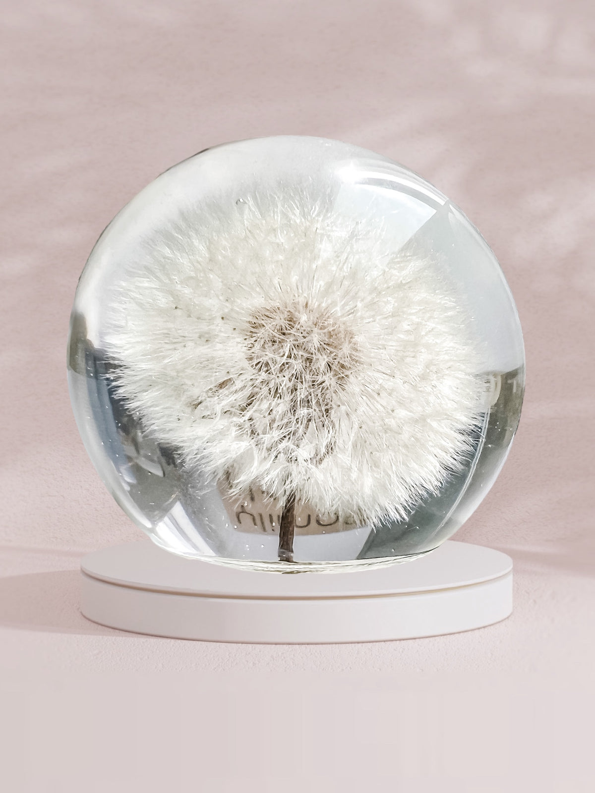 Esfera Dandelion Gigante