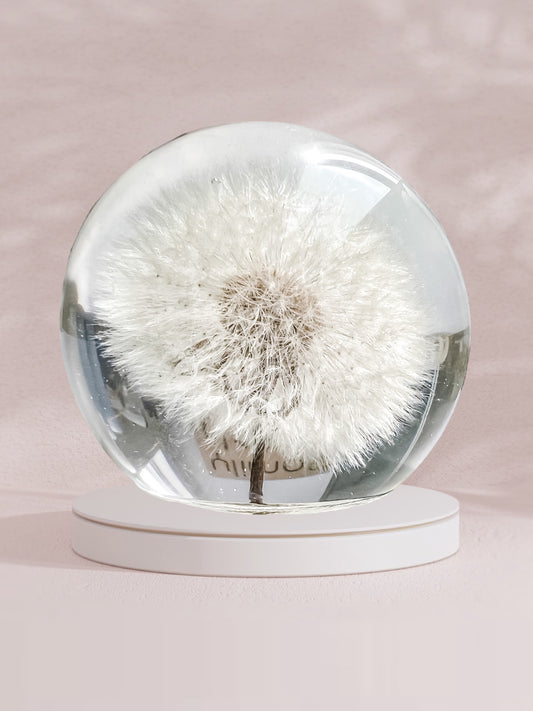 Esfera Dandelion Gigante