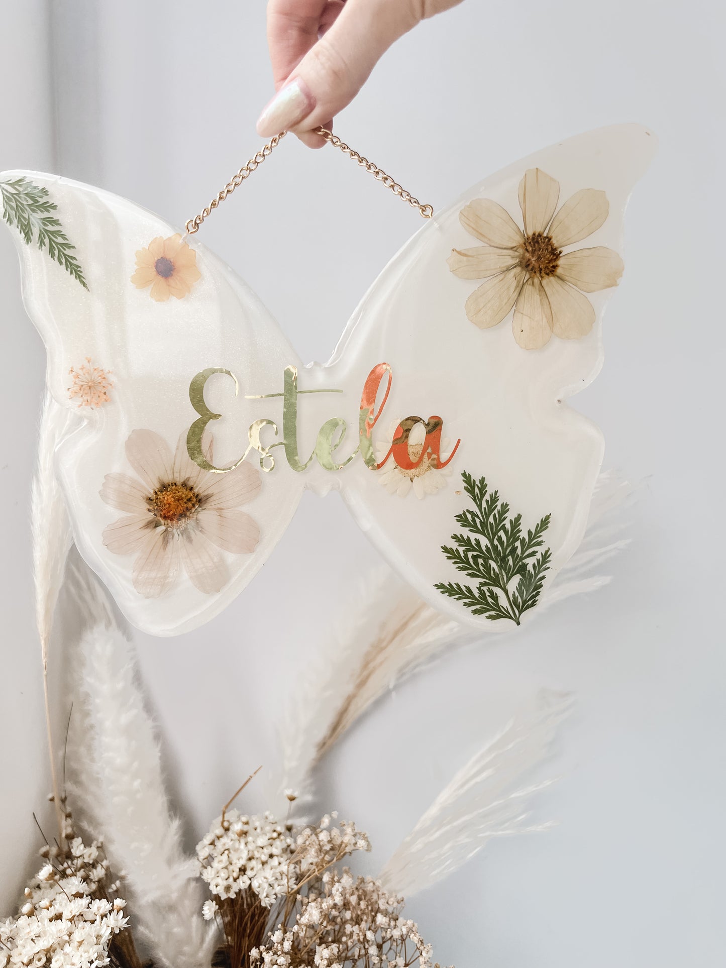 Placa Butterfly